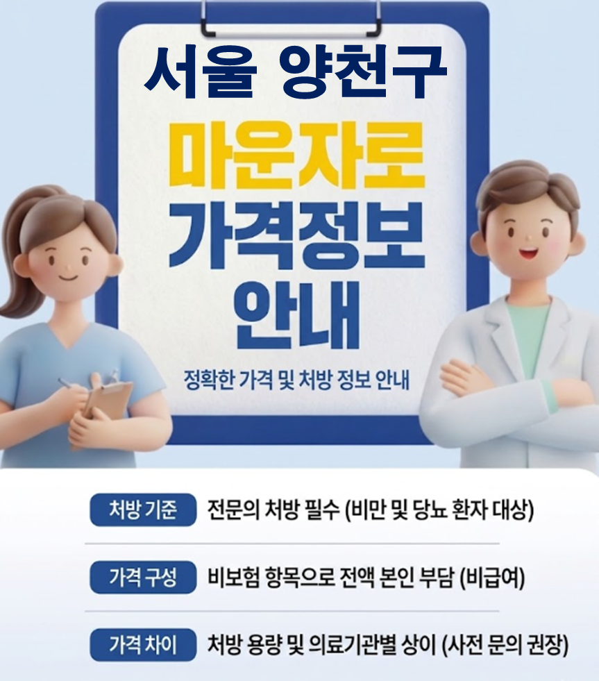 양천구 마운자로 한달 가격 및 저렴한 약국, 병원 안내